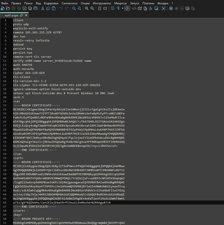 Пример конфигурационного файла OpenVPN